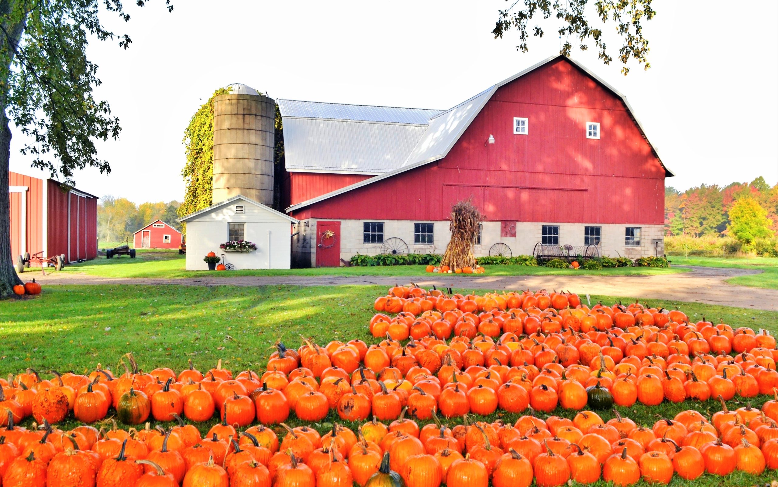 Hoffman Auctions offers solutions