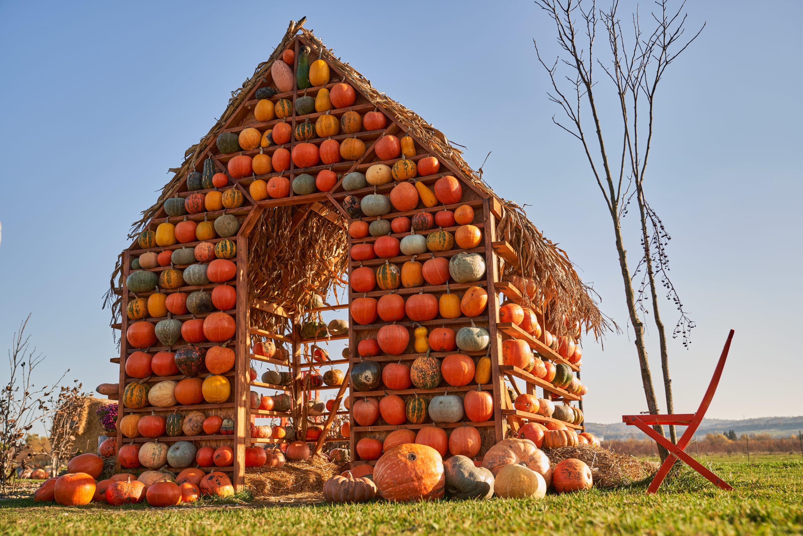 Image of house made with pumpkins